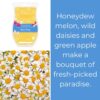 Beach Daisy Scentsy Brick