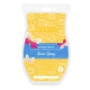 Beach Daisy Scentsy Brick