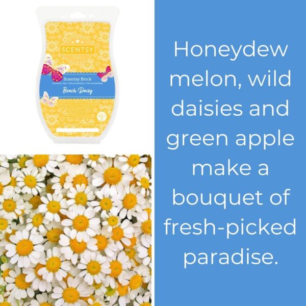 Beach Daisy Scentsy Brick