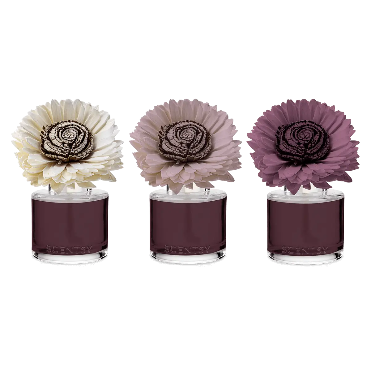 Berry Apple Shortbread Sunflower Scentsy Fragrance Flower