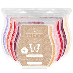 Best Day Ever Scentsy 10 Bar Bundle