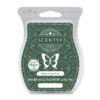 Black Forest Pine Scentsy Bar | Black Forest Pine Scentsy Bar | December 2021 Black Forest Pine Scentsy Bar | Black Forest Pine Scentsy Bar | December 2021