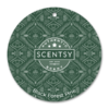 Black Forest Pine Scentsy Scent Circle