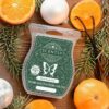 Black Forest Pins Scentsy Bar | Black Forest Pine Scentsy Scent Circle | December 2021 Black Forest Pins Scentsy Bar | Black Forest Pine Scentsy Scent Circle | December 2021
