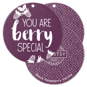 Black Raspberry Vanilla Scentsy Scent Circle 3 Pack Bundle