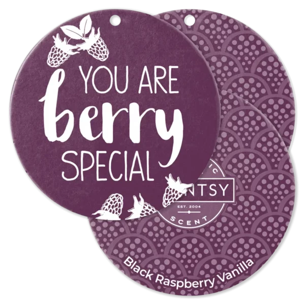 Black Raspberry Vanilla Scentsy Scent Circle 3 Pack Bundle