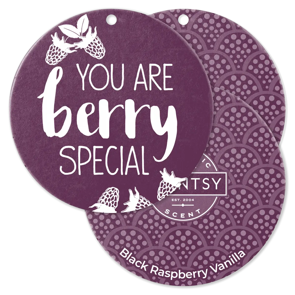 Black Raspberry Vanilla Scentsy Scent Circle 3 Pack Bundle