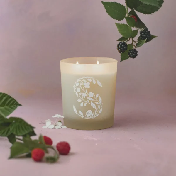 Black Raspberry Vanilla Scentsy Scented Candle