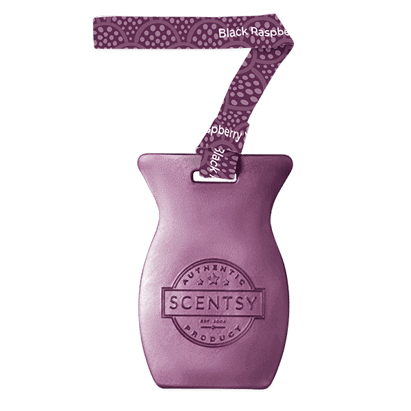 Black Raspberry Vanilla Scentsy Car Bar