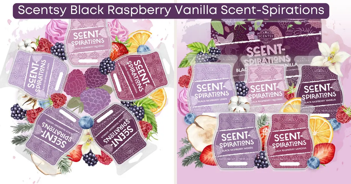 Scentsy Scent-Spirations 2024 Black Raspberry Vanilla Collection