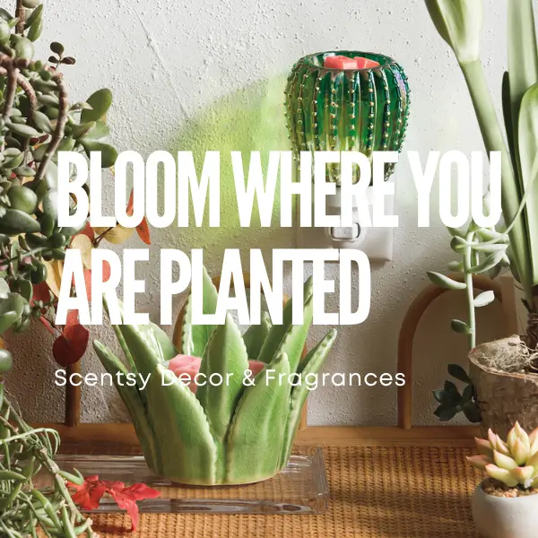 Bloom Where You Are Planted | Earth Day with Scentsy