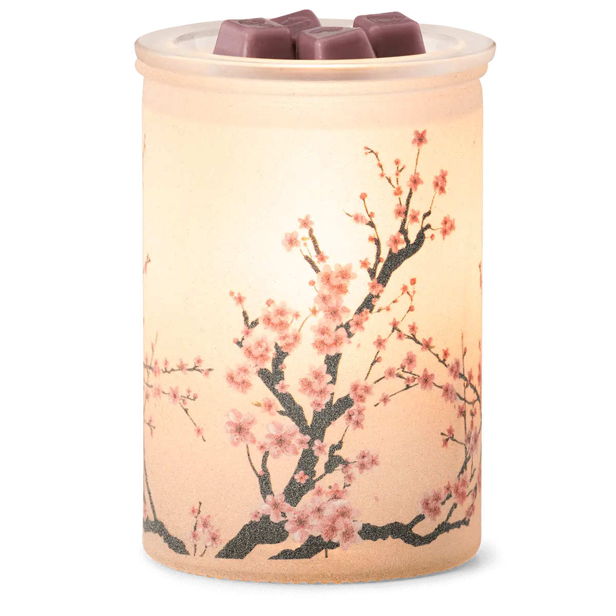 Blossom Scentsy Warmer | 2024 Spring Charitable Cause