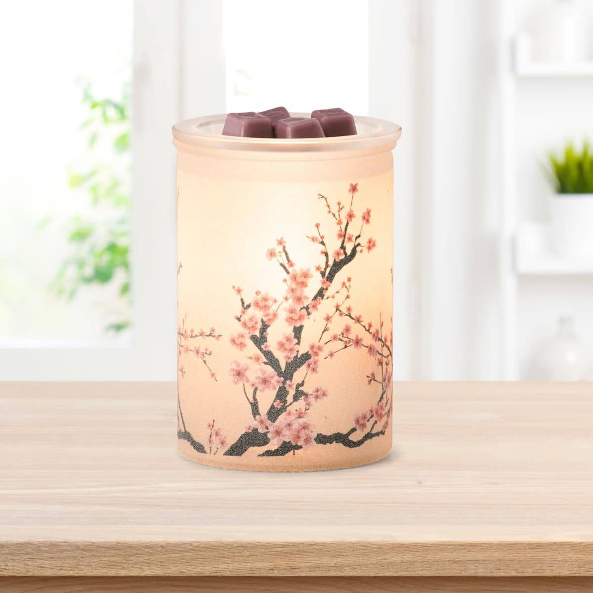 Cherry Blossom Scentsy Warmer | Spring 2024 Charitable Cause
