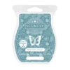 Blue Coconut Beach Scentsy Bar