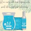 NEW! BLUE GROTTO SCENTSY ALL PURPOSE CLEANER CONCENTRATE | Shop Scentsy | Incandescent.Scentsy.us