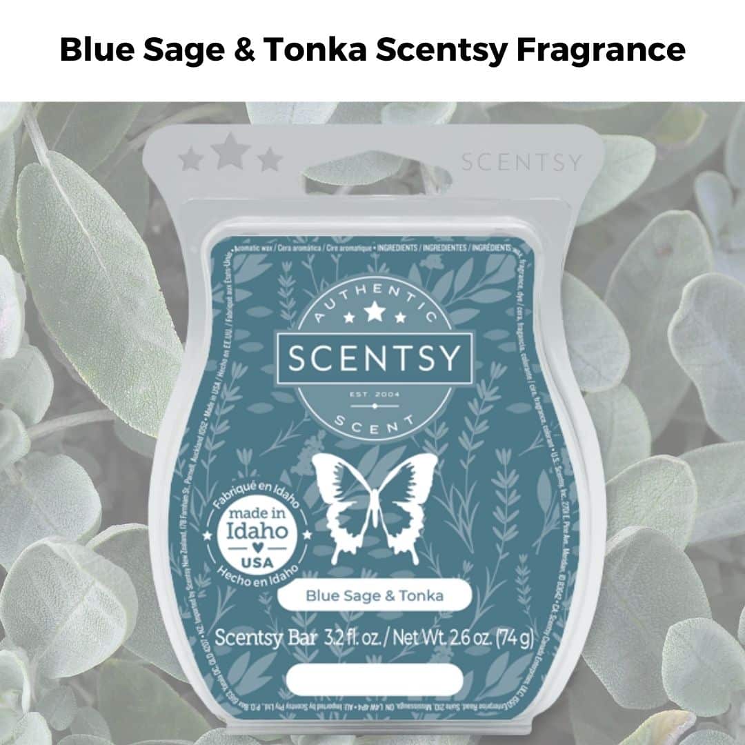 Blue Sage Tonka Scentsy Fragrance | NEW! Blue Sage & Tonka Scentsy Scent Circle | Incandescent.Scentsy.us Blue Sage Tonka Scentsy Fragrance | NEW! Blue Sage & Tonka Scentsy Scent Circle | Incandescent.Scentsy.us