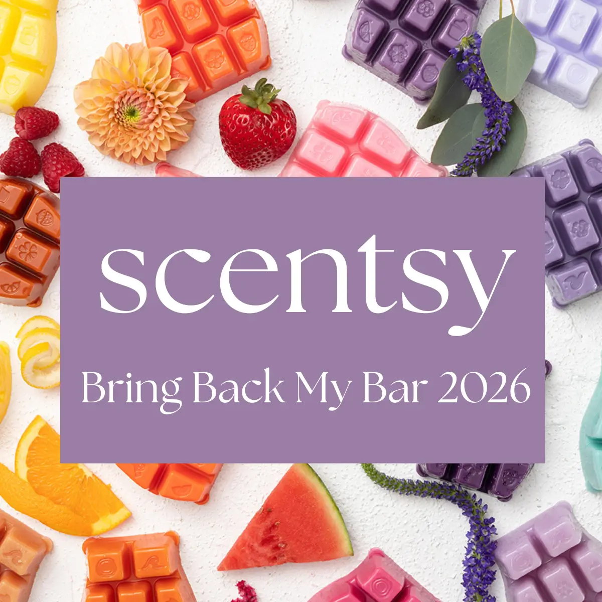 Scentsy 2026 Bring Back My Bar
