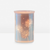 CAST PINK SCENTSY WARMER INSERT | Cast - Pink Scentsy Warmer with Spring Pack | February 2021 CAST PINK SCENTSY WARMER INSERT | Cast - Pink Scentsy Warmer with Spring Pack | February 2021