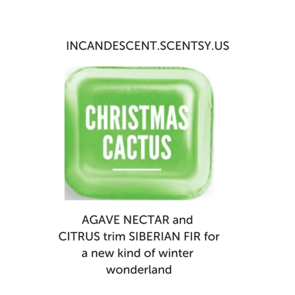 CHRISTMAS CACTUS SCENTSY ROOM SPRAY