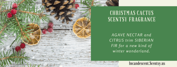 CHRISTMAS CACTUS SCENTSY SCENT CIRCLE