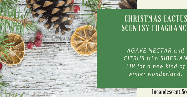 Christmas Cactus Scentsy Bar