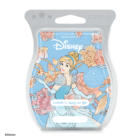 Cinderella: Happily Ever After Scentsy Bar Cinderella: Happily Ever After Scentsy Bar