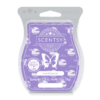 Coastal Sunset Scentsy Bar