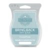 COCONUT FLOWER BRING BACK MY SCENTSY BAR JULY 2018 | Shop Scentsy | Incandescent.Scentsy.us