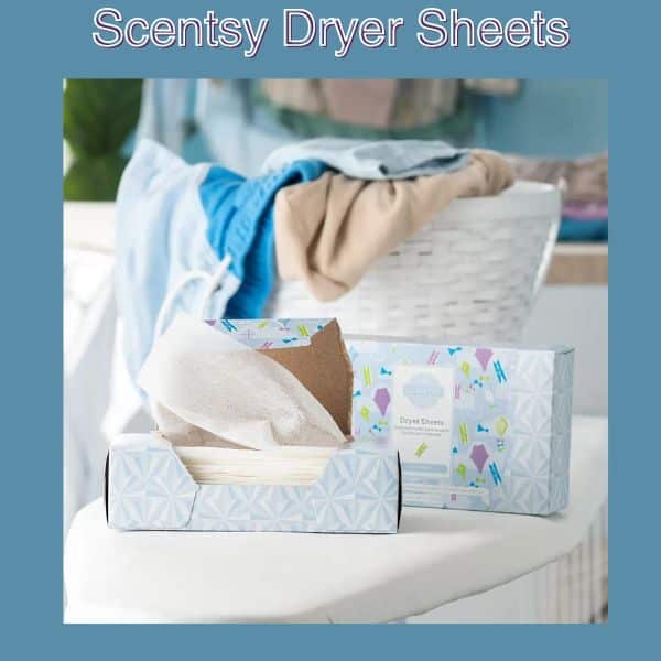 NEW! Clothesline Scentsy Dryer Sheets | Available February 1, 2024