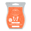 CORAL WATERS SCENTSY BAR