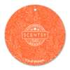 CORAL WATERS SCENTSY SCENT CIRCLE