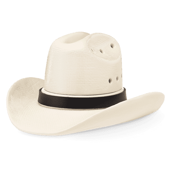 Country Born Cowboy Hat Scentsy Warmer