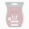 COZY CARDIGAN SCENTSY BAR 1