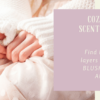 COZY CARDIGAN SCENTSY FRAGRANCE (2) (1) | Cozy Cardigan Scentsy Bar COZY CARDIGAN SCENTSY FRAGRANCE (2) (1) | Cozy Cardigan Scentsy Bar