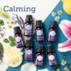 Calming Scentsy Oils LEMON LAVENDER RAIN SCENTSY NATURAL OIL BLEND Calming Scentsy Oils