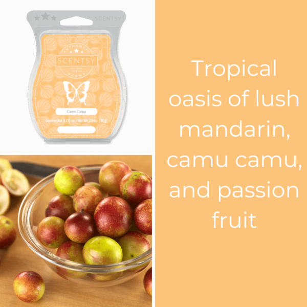 Camu Camu Scentsy Bar 1