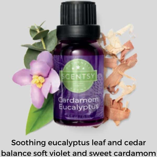 Cardamom Eucalyptus Scentsy Oil