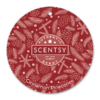 Cinnamon Pinecones Scentsy Scent Circle | December 2022