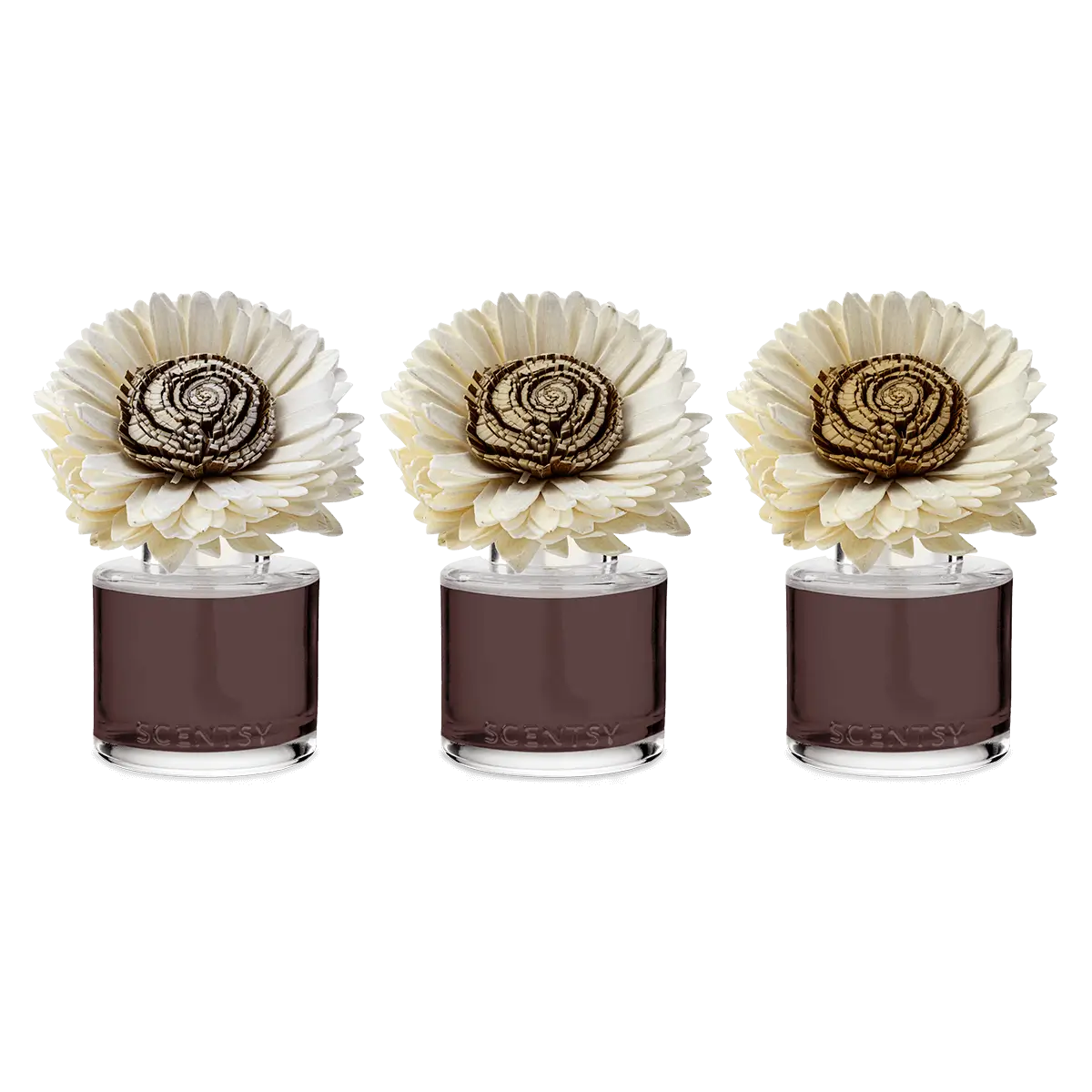 Cinnamon Woods Sunflower Scentsy Fragrance Flower