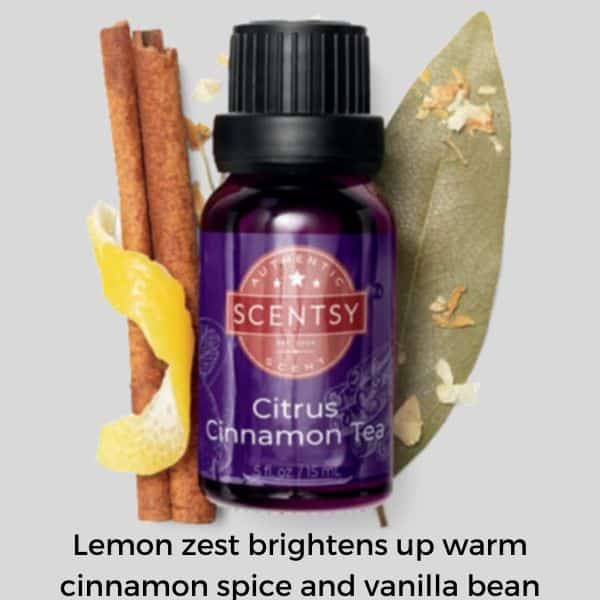 Citrus Cinnamon Tea Scentsy Oil