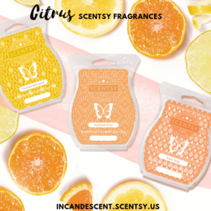 SCENTSY COMPLETE SCENT LIST FOR SPRING SUMMER 2019