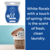 Clean Breeze Scentsy Bar