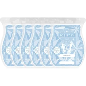 Clothesline Scentsy 6 Bar Wax Bundle
