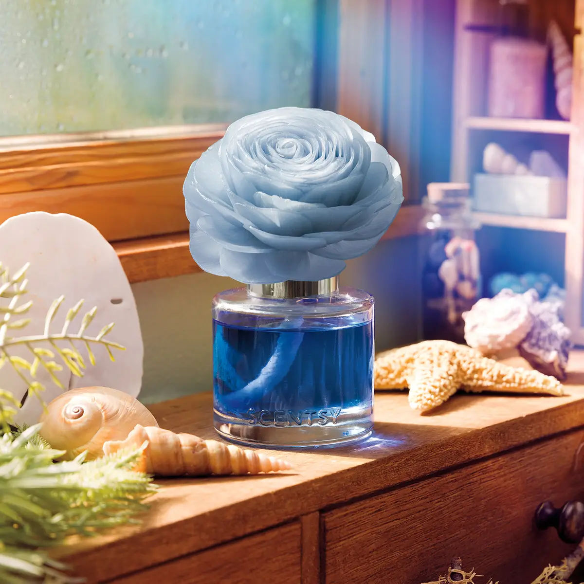 Scentsy Puddles & Petals Wax & Flower Collection | Shop Now