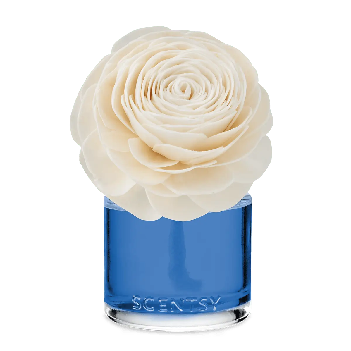 Coastal Rain Cove Scentsy Fragrance Flower