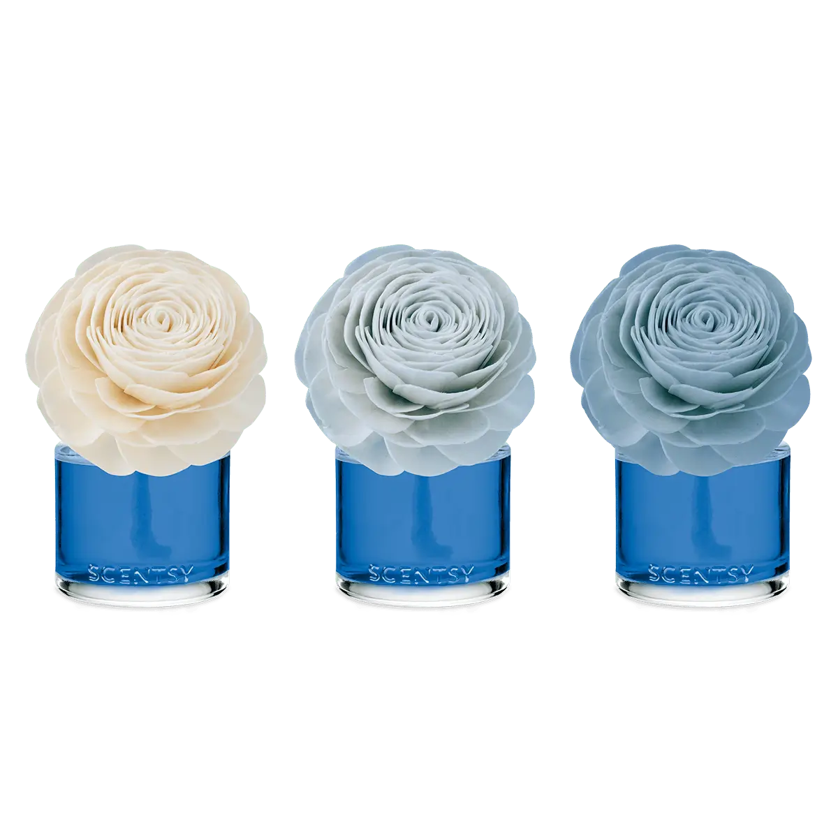 Coastal Rain Cove Scentsy Fragrance Flower