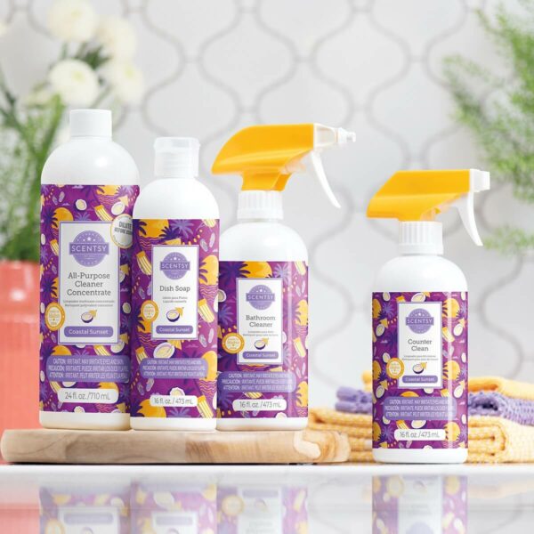 Coastal Sunset Cleaning Scentsy Products 2