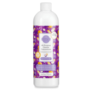 Coastal Sunset Scentsy Clean Concentrate