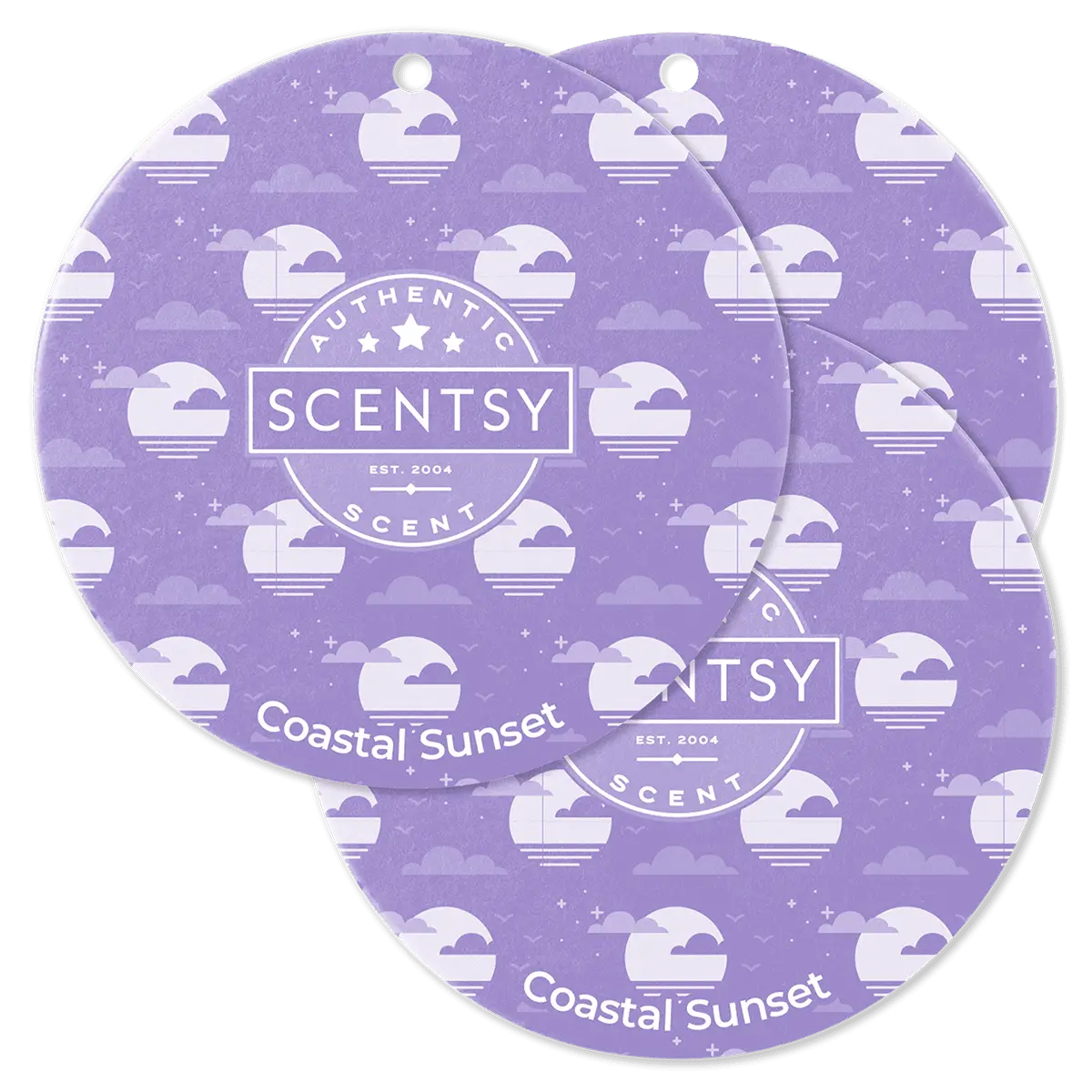 Coastal Sunset Scentsy Scent Circle 3 Pack