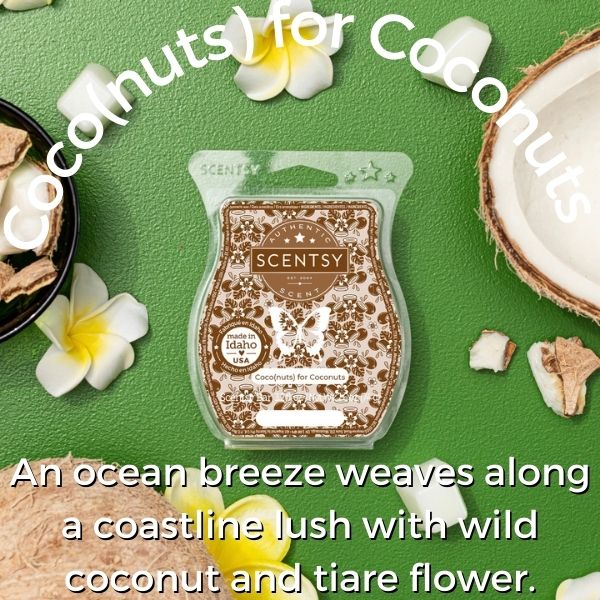 Coconuts for Coconuts Scentsy Fragrance